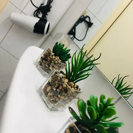 Zentrale 1 1/2 Zimmer דירה *