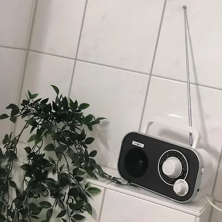 Apartment Zentrale 1 1/2 Zimmer